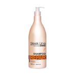 Stapiz Sleek Line Repair Shampoo 1000ml